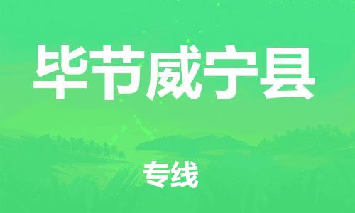 天津到畢節(jié)威寧縣物流專線-天津到畢節(jié)威寧縣貨運(yùn)公司-