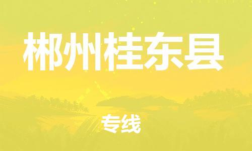 天津到郴州桂東縣物流專線-天津到郴州桂東縣貨運(yùn)公司-