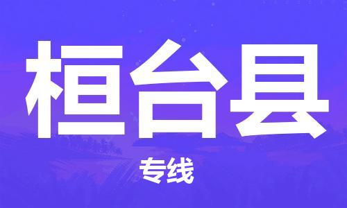 天津到桓臺縣物流公司|天津到桓臺縣物流專線|天津到桓臺縣貨運專線