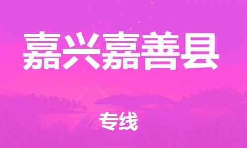 天津到嘉興嘉善縣物流專線-天津到嘉興嘉善縣貨運(yùn)公司-