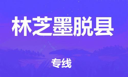 天津到林芝墨脫縣物流專線-天津到林芝墨脫縣貨運(yùn)公司-