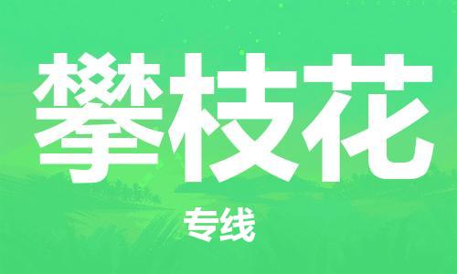 天津到攀枝花物流公司-天津至攀枝花專線-高效、便捷、省心！