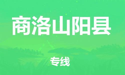 天津到商洛山陽縣物流專線-天津到商洛山陽縣貨運(yùn)公司-