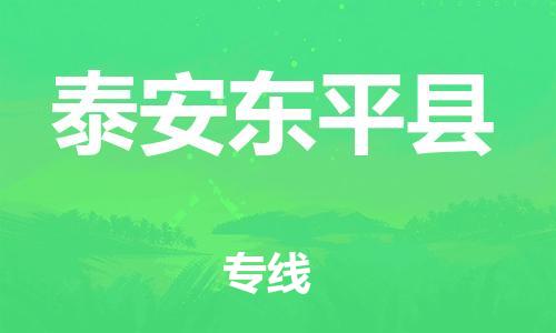 天津到泰安東平縣物流專(zhuān)線(xiàn)-天津到泰安東平縣貨運(yùn)公司-