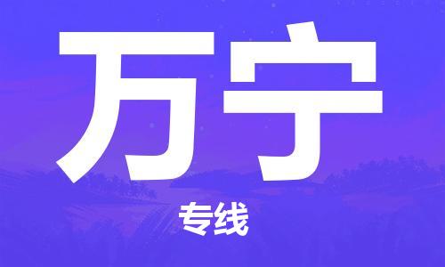 天津到萬(wàn)寧物流公司-天津到萬(wàn)寧貨運(yùn)專線-零擔(dān)物流