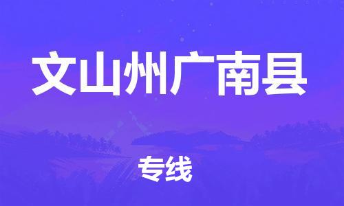 天津到文山州廣南縣物流專線-天津到文山州廣南縣貨運(yùn)公司-