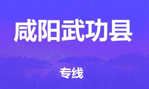 天津到咸陽武功縣物流專線-天津到咸陽武功縣貨運(yùn)公司-