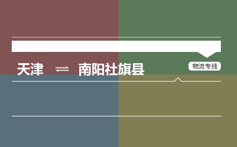 天津到南陽社旗縣物流專線-天津到南陽社旗縣貨運公司-