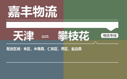 天津到攀枝花物流公司-天津到攀枝花貨運(yùn)專線【四川特快專線】