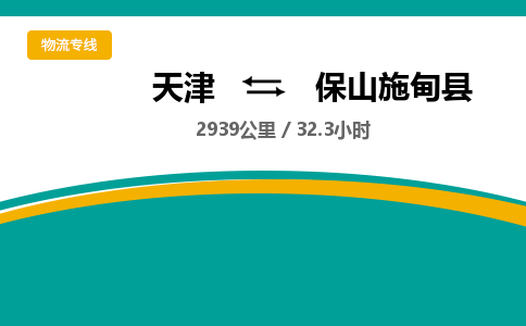 天津到保山施甸縣物流專線-天津到保山施甸縣貨運(yùn)公司-