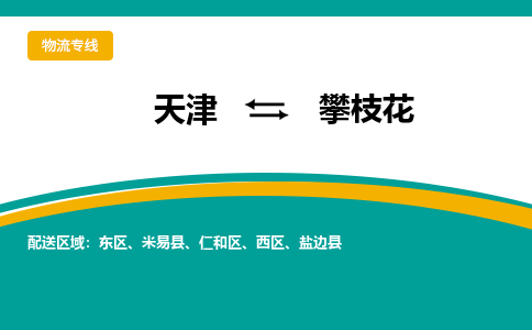 天津到攀枝花物流公司-天津至攀枝花貨運專線-天津到攀枝花貨運公司