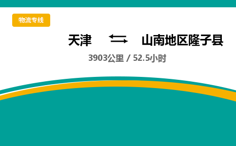 天津到山南地區(qū)隆子縣物流專線-天津到山南地區(qū)隆子縣貨運公司-