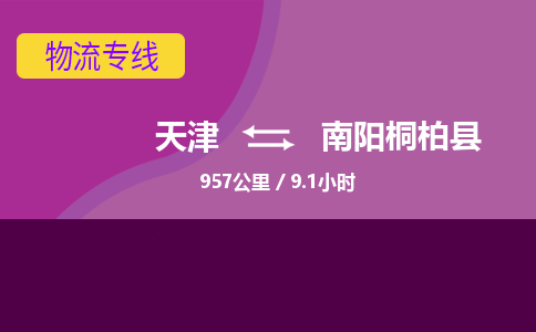 天津到南陽(yáng)桐柏縣物流專線-天津到南陽(yáng)桐柏縣貨運(yùn)公司-