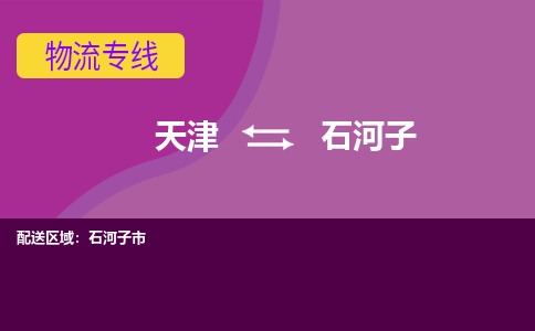 天津到石河子物流專線-天津到石河子貨運專線