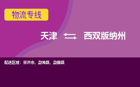 天津到西雙版納州貨運(yùn)專線-天津到西雙版納州貨運(yùn)公司-門到門一站式物流服務(wù)