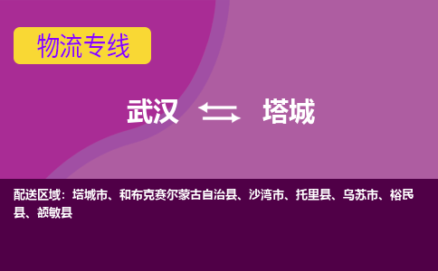 武漢至塔城物流公司|武漢到塔城貨運(yùn)專線