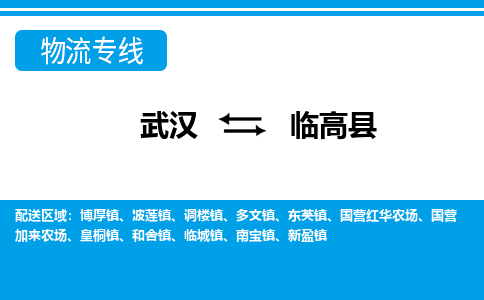 武漢至臨高縣物流公司|武漢到臨高縣貨運(yùn)專線