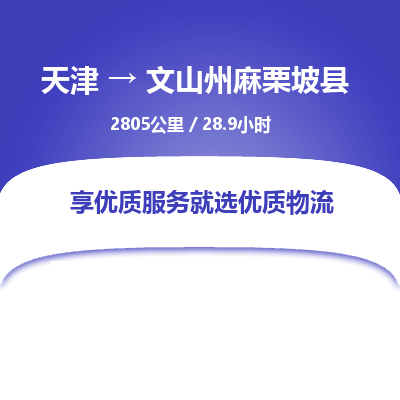 天津到文山州麻栗坡縣物流專線-天津到文山州麻栗坡縣貨運公司-